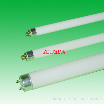 T8 Fluorescent Lamp